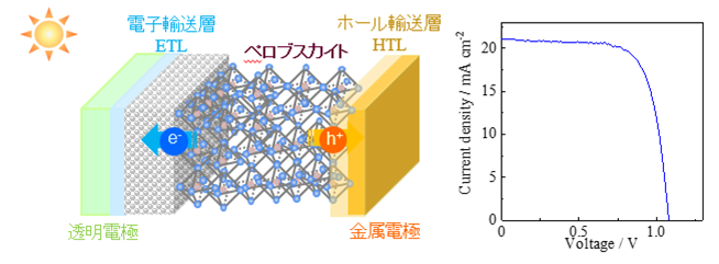 ペロブスカイト太陽電池に関する研究<br>理工学部物質生命理工学科　竹岡 裕子　教授