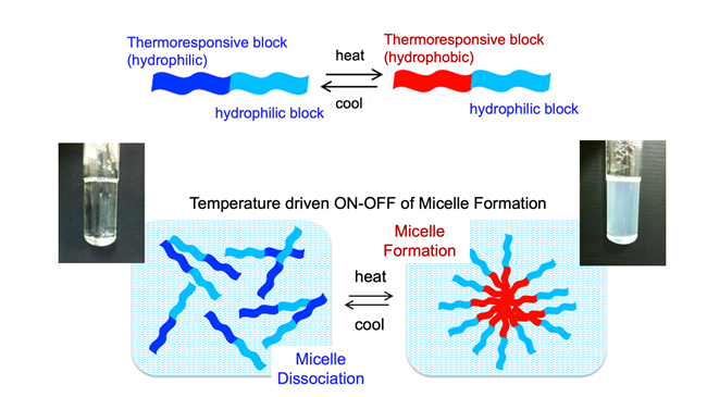 Development of Processes for Organic Reactions in Water<br>Suzuki Noriyuki, Professor<br>Faculty of Science and Technology,Department of Materials and Life Sciences