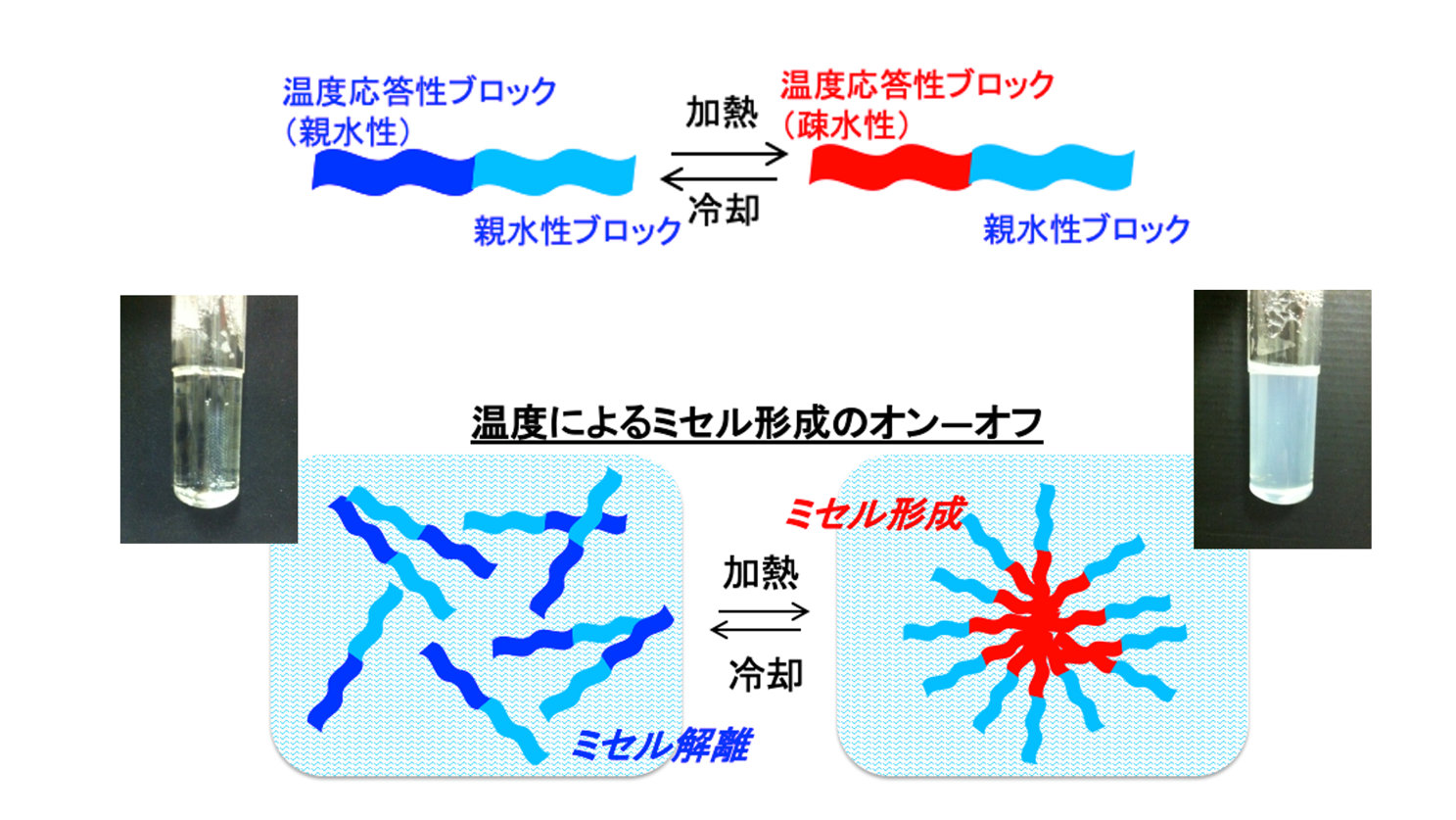 水を反応媒とする有機反応プロセスの開発<br>理工学部物質生命理工学科　鈴木 教之　教授