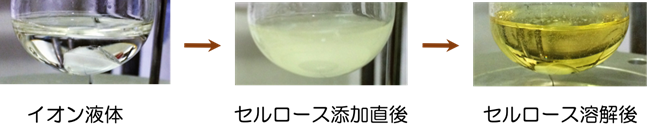 セルロースなど天然資源を活用した材料開発に関する研究<br>理工学部物質生命理工学科　藤田 正博　教授