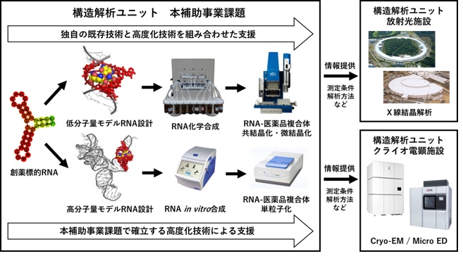 RNAをターゲットとした医薬品の構造解析・デザインプラットフォーム<br> 理工学部物質生命理工学科　近藤 次郎　教授