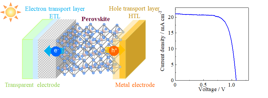 Research on Perovskite Solar Cells<br>Takeoka Yuko, Professor<br>Faculty of Science and Technology, Department of Materials and Life Sciences