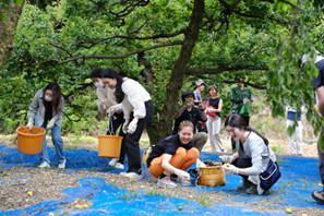 和歌山県田辺市のSDGsを知り「関係人口」になるスタディツアー「SSIC」